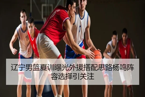 辽宁男篮夏训曝光外援搭配思路杨鸣阵容选择引关注